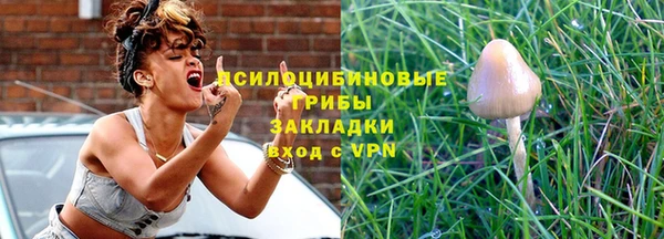 дживик Алексин
